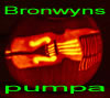 Bronwys pumpa